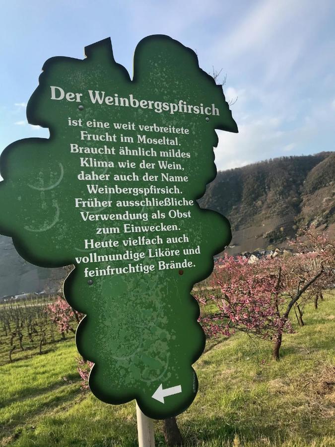 Residenz Moselzauber - Ferienwohnungen Mit Pool Landschaft Ернст Екстериор снимка