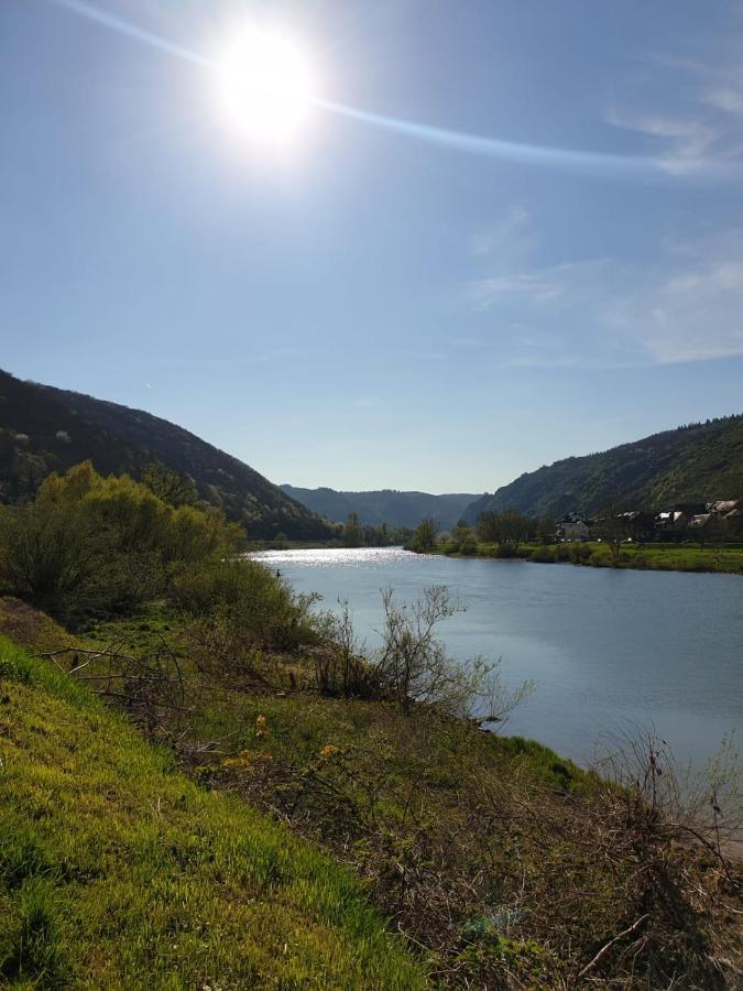 Residenz Moselzauber - Ferienwohnungen Mit Pool Landschaft Ернст Екстериор снимка