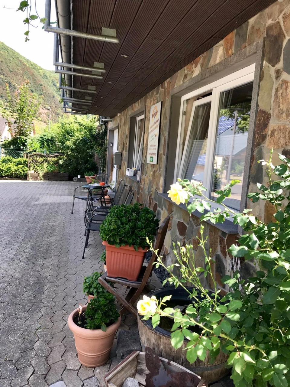 Residenz Moselzauber - Ferienwohnungen Mit Pool Landschaft Ернст Екстериор снимка